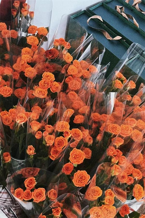 情暖五月天 感恩母親節(jié)